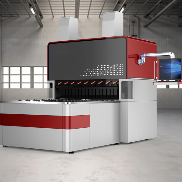 เครื่องดัด CNC VIGERT PB3000 มือสอง