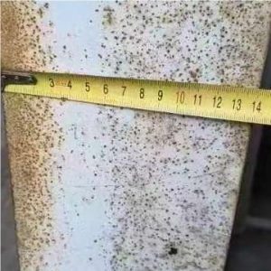 VIGERT 2000T12000 Sheet Metal Brake