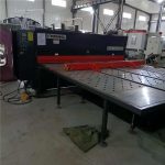 Cizalla YANGLI MS8 6X3200 DELEM